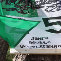 Bildet 2019