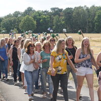 Bildet 2019