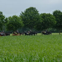 nichtern-2013.027.JPG